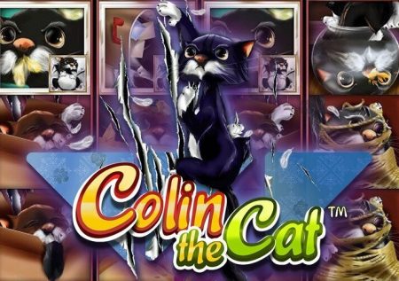 Colin the Cat