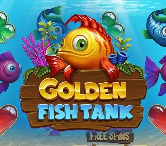 Golden Fish Tank